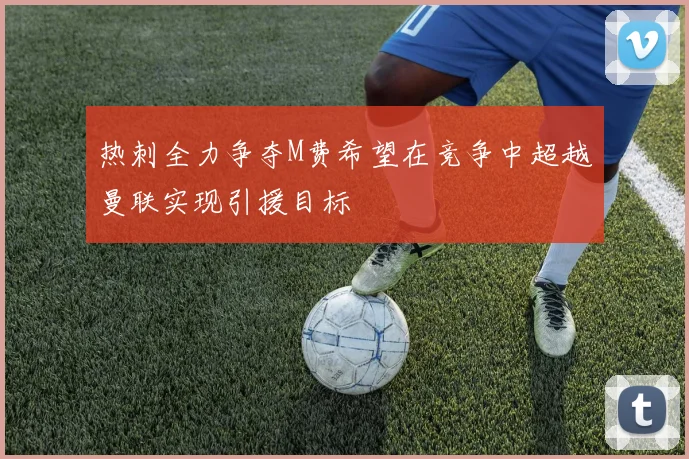 热刺全力争夺M费希望在竞争中超越曼联实现引援目标